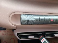 BYD Seagull Glory Edition 305km Vitality Version - ფოტო 13