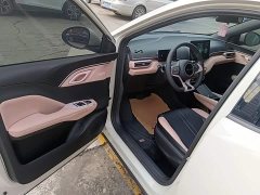 BYD Seagull Glory Edition 305km Vitality Version - ფოტო 15