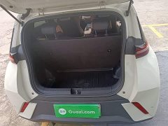 BYD Seagull Glory Edition 305km Vitality Version - ფოტო 18