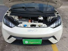 BYD Seagull Glory Edition 305km Vitality Version - ფოტო 19