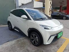 BYD Seagull Glory Edition 305km Vitality Version - ფოტო 3
