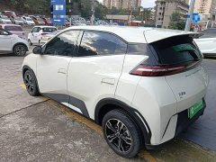 BYD Seagull Glory Edition 305km Vitality Version - ფოტო 4