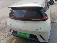 BYD Seagull Glory Edition 305km Vitality Version - ფოტო 5