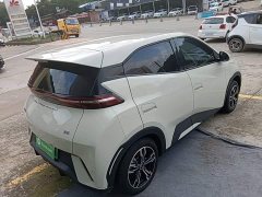 BYD Seagull Glory Edition 305km Vitality Version - ფოტო 6
