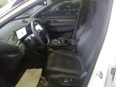 Dongfeng Fengshen L7 518 Comfort Edition - ფოტო 14
