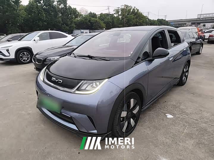 BYD Dolphin 401km Knight Edition - ავტომობილი ჩინეთიდან