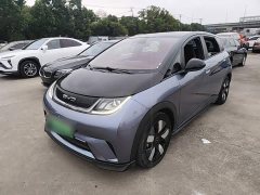 BYD Dolphin 401km Knight Edition - ფოტო 1