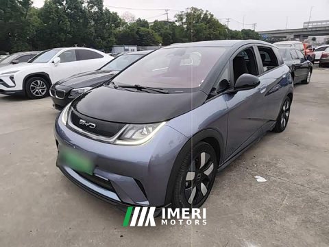 2024 BYD Dolphin 401km Knight Edition - ავტომობილი ჩინეთიდან