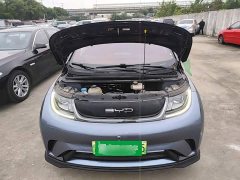 BYD Dolphin 401km Knight Edition - ფოტო 19