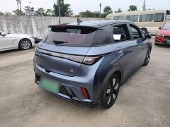 BYD Dolphin 401km Knight Edition - ფოტო 6