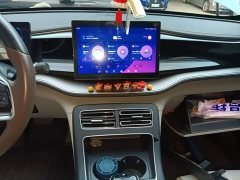 BYD Qin PLUS Champion Edition EV 420KM Excellence - ფოტო 12