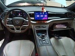 BYD Qin PLUS Champion Edition EV 420KM Excellence - ფოტო 9