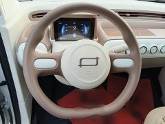 FAW Besturn Xiaoma 222km Shining Edition - ფოტო 10