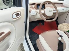 FAW Besturn Xiaoma 222km Shining Edition - ფოტო 15