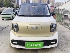 FAW Besturn Xiaoma 222km Shining Edition - ფოტო 2