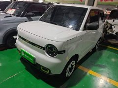 Geely Panda Mini 210km Vitality Edition - ფოტო 1