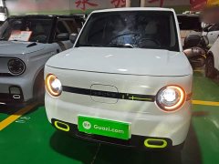 Geely Panda Mini 210km Vitality Edition - ფოტო 2