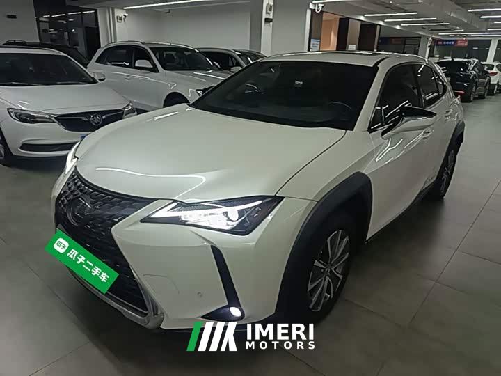 Lexus UX New Energy 300e Pure Joy Edition