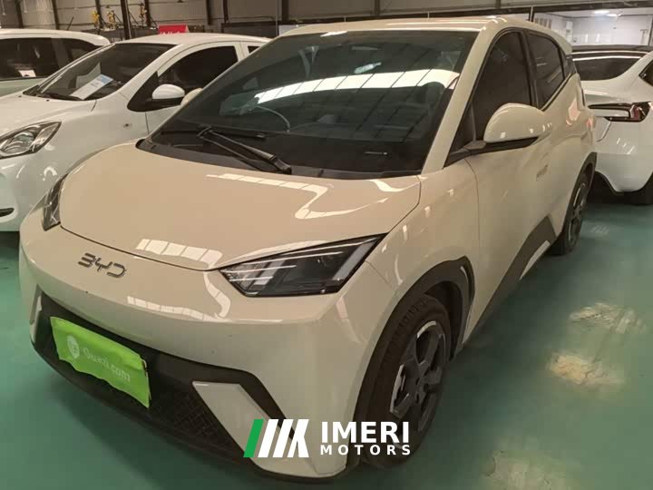 BYD Seagull Glory Edition 305km Freedom Version