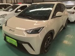 BYD Seagull Glory Edition 305km Freedom Version - ფოტო 1