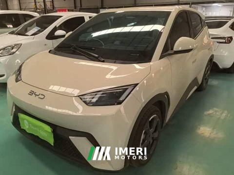 2024 BYD Seagull Glory Edition 305km Freedom Version