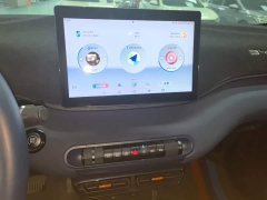 BYD Seagull Glory Edition 305km Freedom Version - ფოტო 12