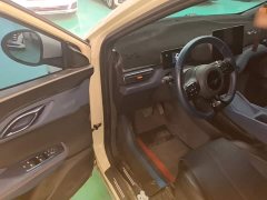 BYD Seagull Glory Edition 305km Freedom Version - ფოტო 15