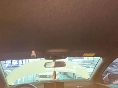 BYD Seagull Glory Edition 305km Freedom Version - ფოტო 17
