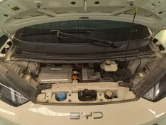 BYD Seagull Glory Edition 305km Freedom Version - ფოტო 19