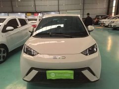 BYD Seagull Glory Edition 305km Freedom Version - ფოტო 2