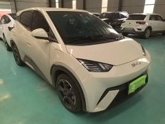 BYD Seagull Glory Edition 305km Freedom Version - ფოტო 3