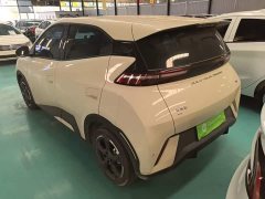 BYD Seagull Glory Edition 305km Freedom Version - ფოტო 4