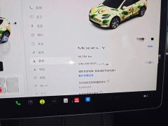 Tesla Model Y Facelift Rear-Wheel Drive - ფოტო 11