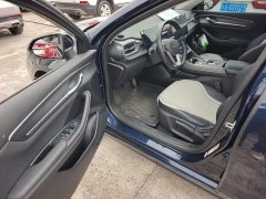 BYD Destroyer 05 Glory Edition DM-i 55KM Luxury - ფოტო 15