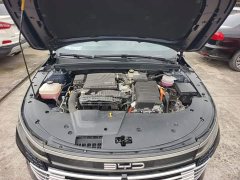 BYD Destroyer 05 Glory Edition DM-i 55KM Luxury - ფოტო 19