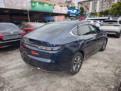 BYD Destroyer 05 Glory Edition DM-i 55KM Luxury - ფოტო 6