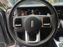 Tank 300 Off-Road Edition 2.0T Conqueror - ფოტო 2