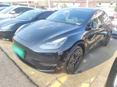 Tesla Model Y Long Range All-Wheel Drive - ფოტო 1