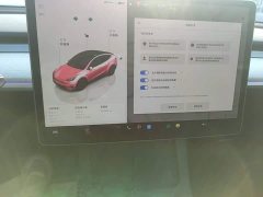 Tesla Model Y Long Range All-Wheel Drive - ფოტო 11