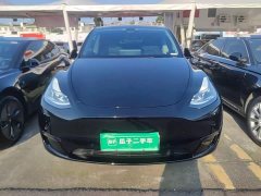 Tesla Model Y Long Range All-Wheel Drive - ფოტო 2