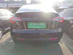 Tesla Model Y Long Range All-Wheel Drive - ფოტო 5
