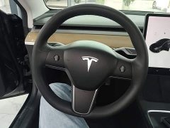 Tesla Model 3 Standard Range RWD Upgrade - ფოტო 10