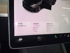 Tesla Model 3 Standard Range RWD Upgrade - ფოტო 11