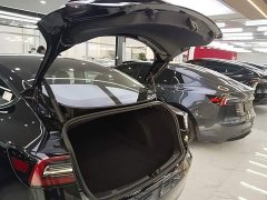 Tesla Model 3 Standard Range RWD Upgrade - ფოტო 18