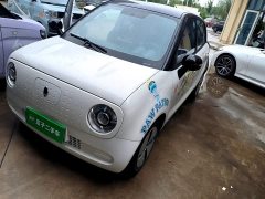 ORA Black Cat 301km Cute Pet Edition - ფოტო 1
