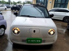 ORA Black Cat 301km Cute Pet Edition - ფოტო 2