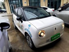 ORA Black Cat 301km Cute Pet Edition - ფოტო 3