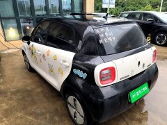 ORA Black Cat 301km Cute Pet Edition - ფოტო 4