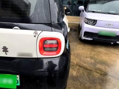 ORA Black Cat 301km Cute Pet Edition - ფოტო 7