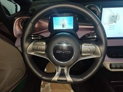 BYD Dolphin 401km Knight Edition - ფოტო 10